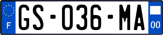 GS-036-MA