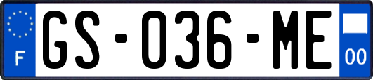 GS-036-ME