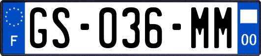 GS-036-MM
