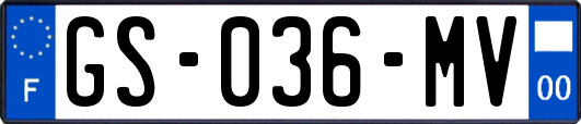 GS-036-MV