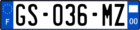 GS-036-MZ