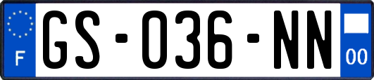 GS-036-NN