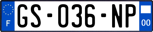 GS-036-NP