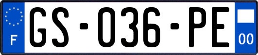 GS-036-PE