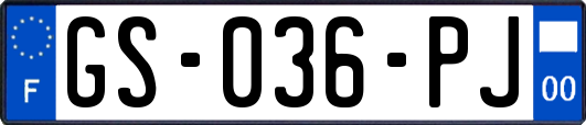 GS-036-PJ