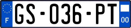 GS-036-PT