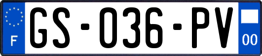 GS-036-PV