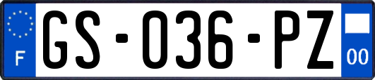 GS-036-PZ