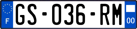 GS-036-RM