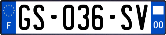 GS-036-SV