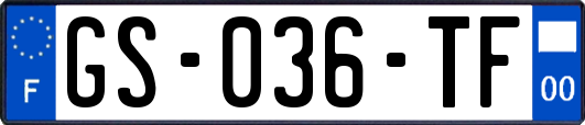 GS-036-TF