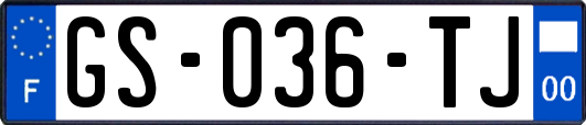 GS-036-TJ