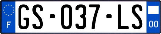 GS-037-LS