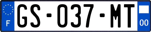GS-037-MT