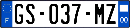GS-037-MZ