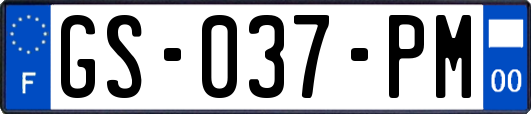 GS-037-PM
