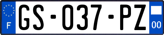 GS-037-PZ