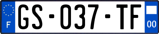 GS-037-TF