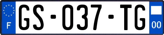 GS-037-TG