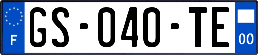 GS-040-TE