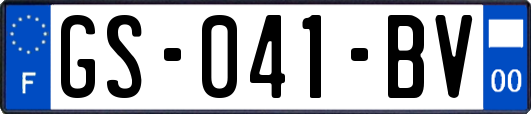 GS-041-BV