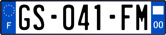 GS-041-FM