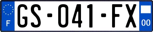 GS-041-FX