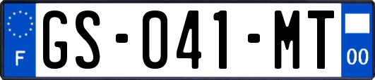 GS-041-MT
