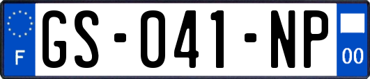 GS-041-NP