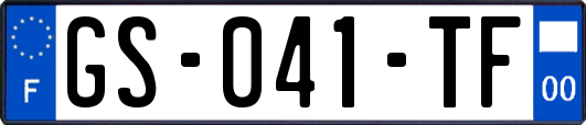 GS-041-TF