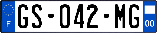 GS-042-MG