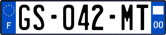 GS-042-MT
