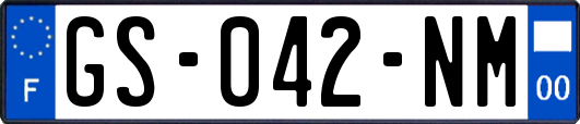 GS-042-NM