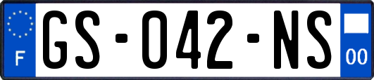 GS-042-NS