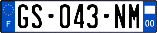GS-043-NM