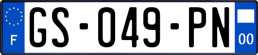 GS-049-PN