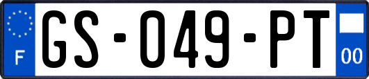 GS-049-PT