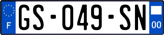 GS-049-SN