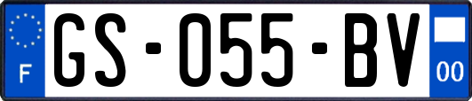 GS-055-BV