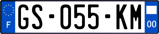 GS-055-KM