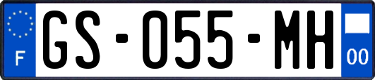 GS-055-MH