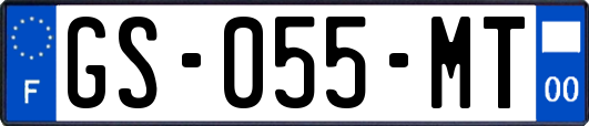 GS-055-MT