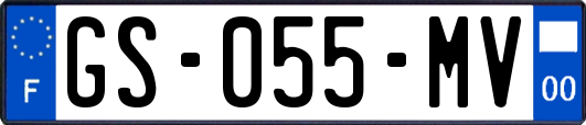 GS-055-MV