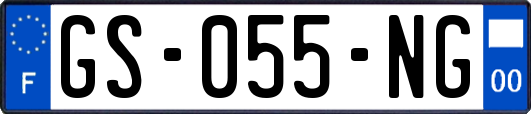 GS-055-NG