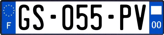 GS-055-PV