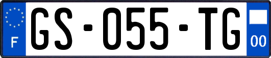 GS-055-TG