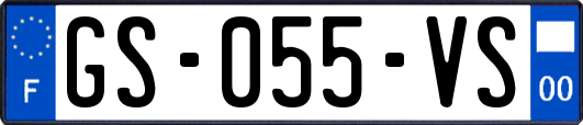 GS-055-VS