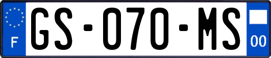 GS-070-MS