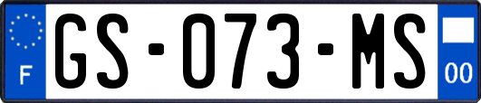 GS-073-MS