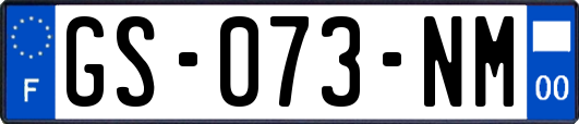 GS-073-NM